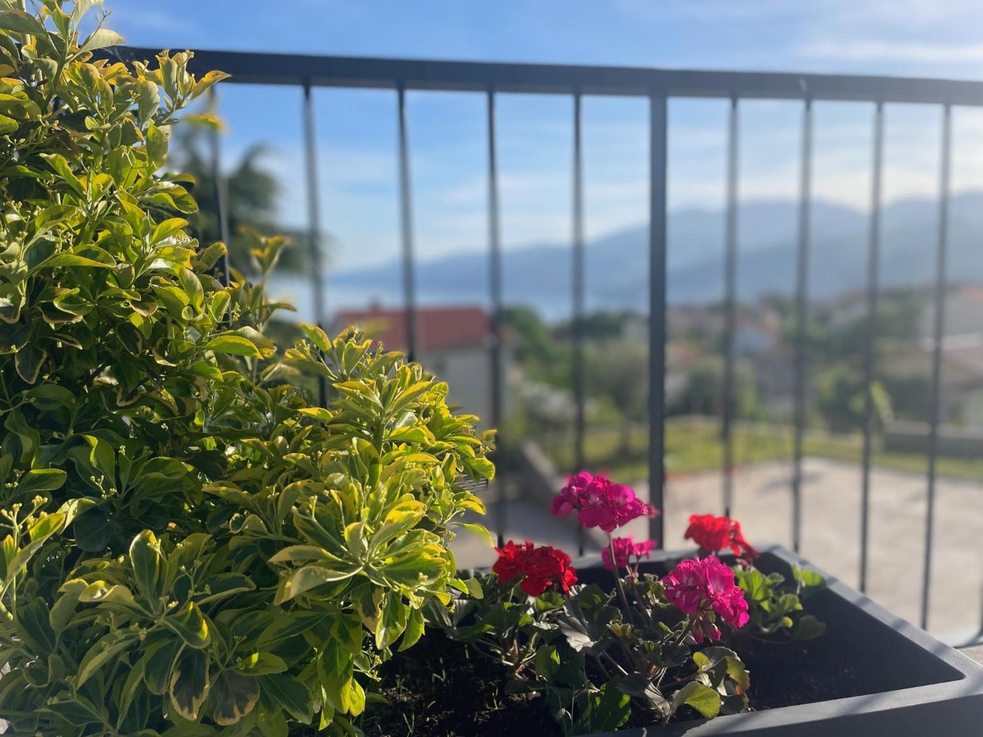 Apartments Alba Chiara カスタヴ エクステリア 写真